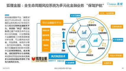 2017中国互联网金融行业专题分析 互联网数据服务的崛起与挑战